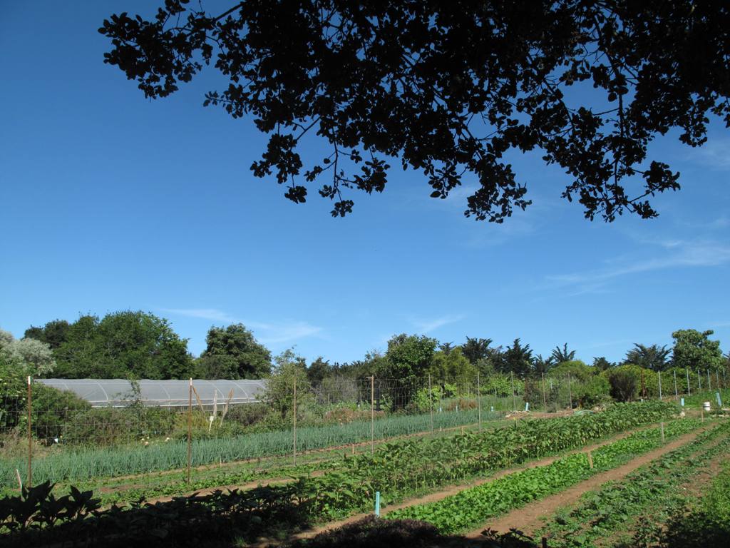 Christof Berneau of UC Santa Cruz s Center for Agroecology