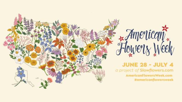 American Flowers Week by Lesley Goren