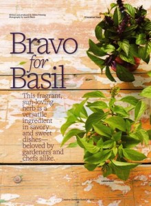 Bravo for Basil