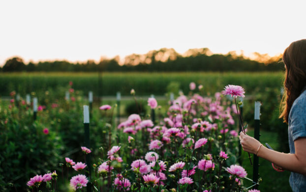 Brooke Palmer of Jenny Creek Flowers