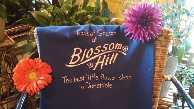 Birthday Bash Bouquet in Dunstable MA - Rose Of Sharon Flowers And