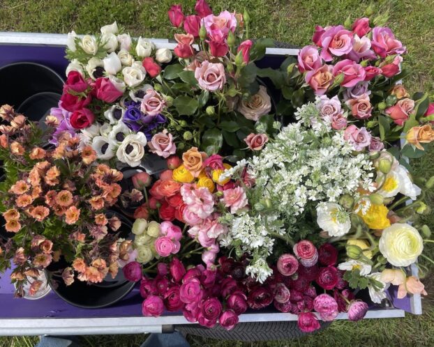 Harvest at Free Range Flowers