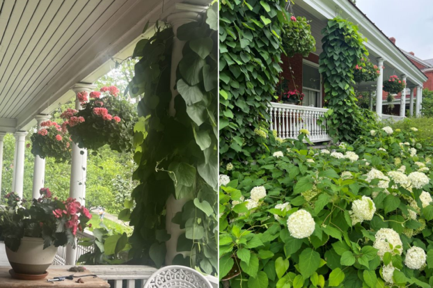 Jayson's front porch and garden at the peak of summer