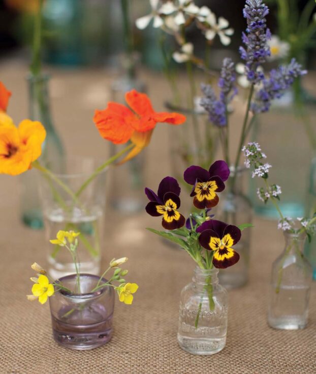 Edible flowers from Grow Cook Eat, by Willi Galloway