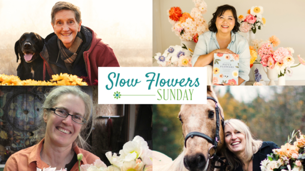 Slow Flowers SUNDAY