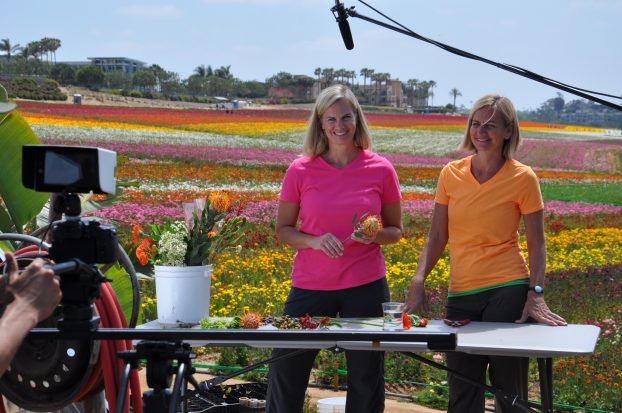 The Flower Duet design team on camera at The Flower Fields.