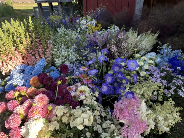 Flowers for the workshop