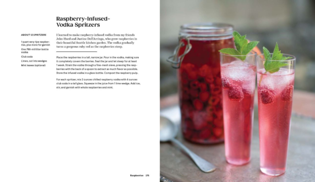 Raspberry Spritzer recipe from Grow Cook Eat