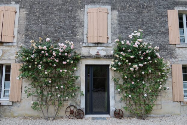 Roses at Mill on the Rock