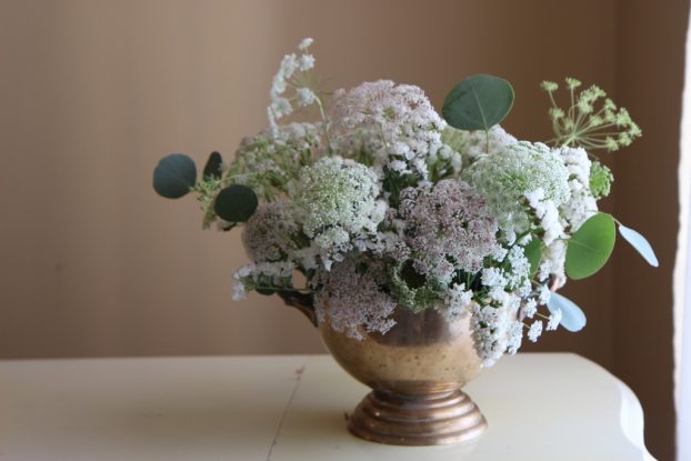 Queen Anne's Lace - Florabundance Wholesale Flowers
